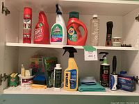 Full shelf of assorted cleaning supplies including carpet cleaners, stain removers, laundry detergent, sponges, and brushes.