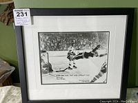 Framed photo with label indicating lot number and item description showing full item presentation.