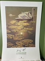 Full view of the vintage Richard Stanley artist proof poster featuring two swans and lily pads on water with the edition number and signature at bottom.