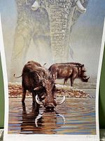 Close-up photo of the vintage Richard Stanley Tsavo Waterhole poster showing detailed artwork of warthogs and an elephant with artist's signature and numbering.
