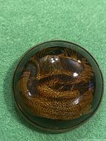 Top down view showing the brass duck figurine clearly inside a domed glass brooch with visible texture and patina on the duck.