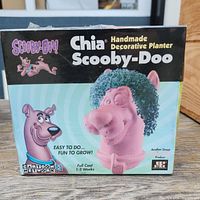 Box of the Chia Pet Scooby-Doo Handmade Decorative Planter showing front view of packaging with cartoon image and planter with grown chia hair.