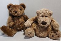 Front view of two teddy bears sitting side by side on a plain background showing different fur textures and details.