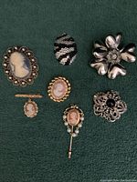Top view of six brooches and one pendant arranged on a flat surface showing designs including cameos, floral shapes, and zebra stripes