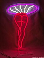 Lit LED neon pink lady and mushroom shaped sign emitting bright colored glow.