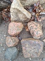 Photo showing seven natural hard rock edging stones placed on soil with fallen leaves, highlighting their rough textures, shapes and color variations.