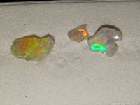 Three rough white fire opal specimens arranged on white surface showing vibrant orange, green, and blue play-of-color, highlighting fire opal quality.