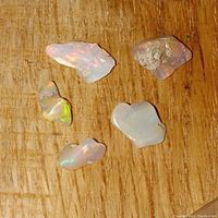 Photo of 5 rough white fire opal stones laid out on wooden surface, showing play-of-color and natural matrix on some stones.