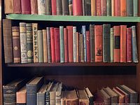 Front view of two shelves of antique books including thick and thin volumes with various colored bindings