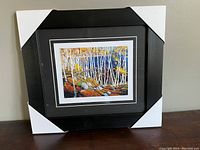 Framed Tom Thomson print with protective corner covers on the frame.