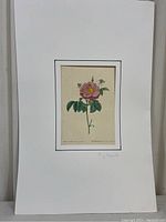 Full view of P.J. Redouté rose botanical print mounted on white mat, showing overall condition and labeled text.