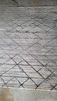Full view of the beige and grey area rug showing geometric line pattern