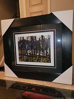 Framed fine art print showing full frame, corner with protective cover, and visible artwork