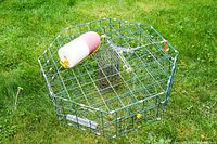 Octagonal crab pot placed on grass, showing metal wire frame, buoy attached on top, and the structure of the pot.