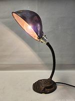 Side view of working Art Deco desk lamp with lit bulb, cast iron base and goose neck.