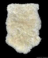 Front view of cream/off-white plush IKEA Rens sheepskin with dense wool pile and natural shape edges