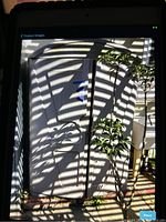Front view of the plastic storage shed showing closed double doors with molded patterns and measuring labels taped on.