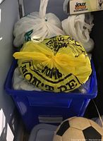 Blue recycling tote partially filled with tied plastic bags containing golf balls