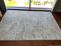 Off-white area rug on wooden floor near large window, showing full item and size perspective.