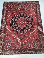 Full view of rug showing central medallion and border pattern on floor