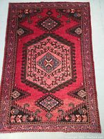 Full view of rug laid flat showing central medallion and border