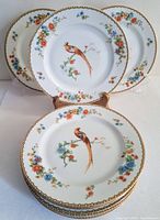 Set of eight 8.5 inch diameter porcelain salad plates with golden pheasant and floral aesthetic, gold geometric rim detail.
