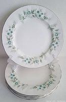 Six stacked fine bone china salad plates with floral blue and green design on white base and platinum rim.