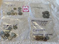 Four clear ziplock bags each containing coins, labeled Italy, Caribbean, Spain, and a mixed bag with Austria, Cayman, Sierra Leone, Tanzania.
