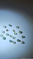 Group of 18 small natural Alexandrite gemstones spread out on white surface under side lighting, showing different gemstone shapes and sizes.