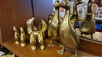 Group photo showing all 7 brass duck figurines of varying sizes arranged on a shelf.