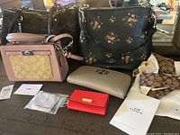 Overall display of two Coach crossbody bags, Tory Burch wallet, Kate Spade card wallet and Coach scarf on dustbag