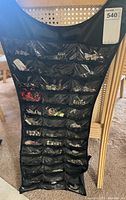 Full view of hanging organizer with multiple clear pockets containing various earrings.