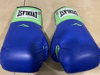 Front view of a pair of blue and green Everlast boxing gloves showing the shape and padding.