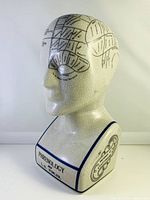 Side angle showing labeled brain sections and crackled glaze finish.