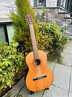 Full front view of the vintage Taro acoustic guitar standing outside on pavement against greenery and stone building background.