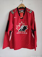 Front view of red Team Canada hockey jersey with large maple leaf hockey logo and multiple autographs.