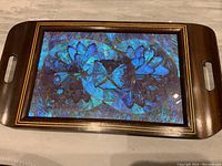 Full view of the rectangular wooden tray with cut-out side handles and inset glass panel showing vibrant blue and violet Morphos.