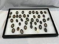 Tray of 40 oval metal fittings arranged in rows on white felt