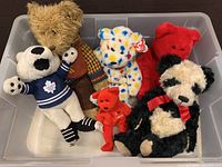 Top view of all six bears displayed in a plastic bin revealing their colors and features.