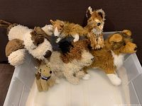 Five assorted stuffed dogs placed inside a plastic bin