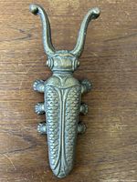 Top view photo showing detailed scales and segments on beetle body and curved antennae.