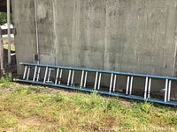 Full side view of the Werner extension ladder laid horizontally on the ground beside a concrete wall, showing its length and structure.