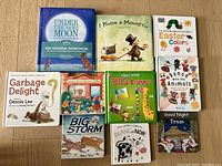 Photo showing all 10 board books arranged in three rows. Covers are clearly visible for identification and condition check.