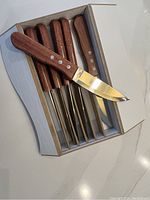Six steak knives with wooden handles arranged inside a cardboard-lined presentation box with individual slots.