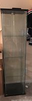 Front view of the tall, narrow lighted glass curio display cabinet with a closed glass door and black frame base and top.