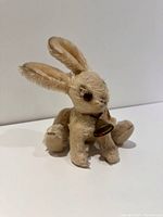 View from front-right side showing sitting posture with ears up, bell and ribbon visible