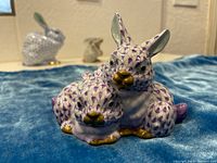 Front view of two rabbits cuddling showing overall shape and pattern