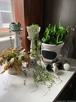 Overview of white and green ceramic pots on white pedestal plant stands on a counter by window. Various live plants inside pots. Black and white egg-shaped decor objects in front.