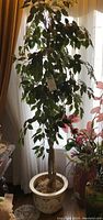 Full view of tall artificial tree with green leaves in ceramic planter near window.