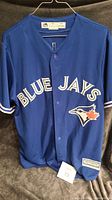 Front view of a blue Toronto Blue Jays baseball jersey with button closure, showing the team name and logo.